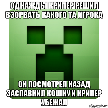 однажды крипер решил взорвать какого та игрока он посмотрел назад заспавнил кошку и крипер убежал