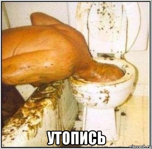  утопись, Мем Дайвер