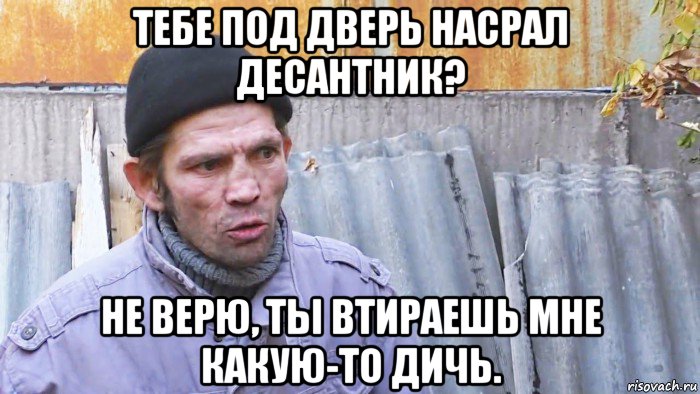 тебе под дверь насрал десантник? не верю, ты втираешь мне какую-то дичь., Мем  Дичь