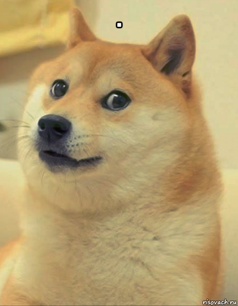 . , Мем doge woof