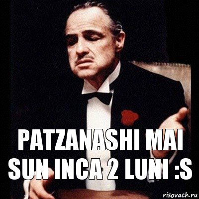 patzanashi mai sun inca 2 luni :S, Комикс Дон Вито Корлеоне 1