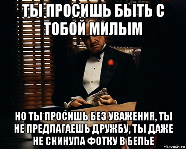 ты просишь быть с тобой милым но ты просишь без уважения, ты не предлагаешь дружбу, ты даже не скинула фотку в белье, Мем Дон Вито Корлеоне