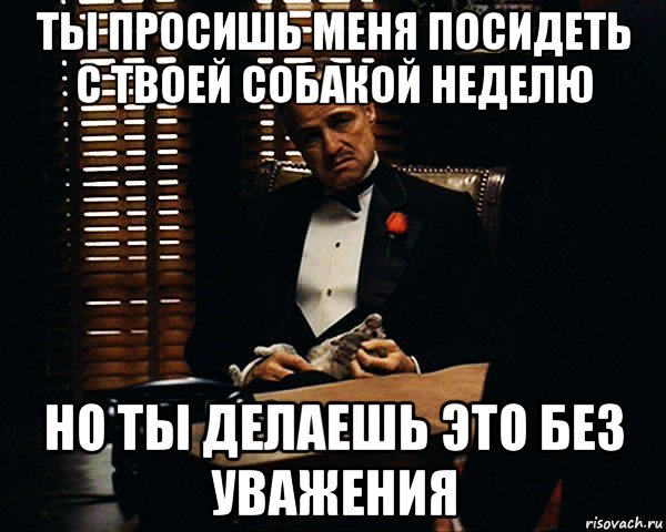 ты просишь меня посидеть с твоей собакой неделю но ты делаешь это без уважения, Мем Дон Вито Корлеоне