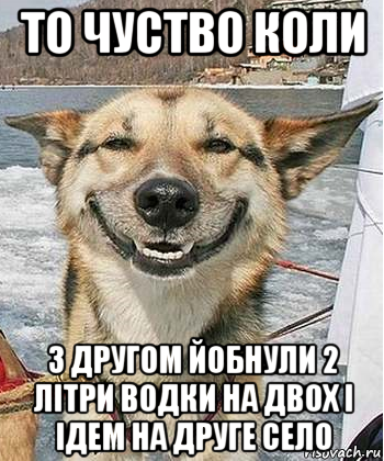 то чуство коли з другом йобнули 2 літри водки на двох і ідем на друге село