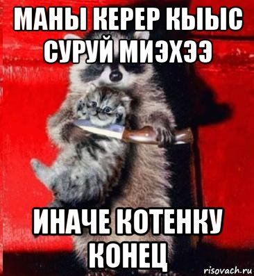 маны керер кыыс суруй миэхээ иначе котенку конец, Мем  енот с котенком