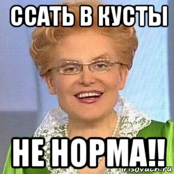 ссать в кусты не норма!!, Мем ЭТО НОРМАЛЬНО