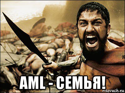  aml - семья!, Мем Это Спарта