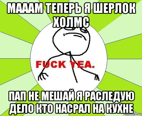 мааам теперь я шерлок холмс пап не мешай я раследую дело кто насрал на кухне, Мем фак е