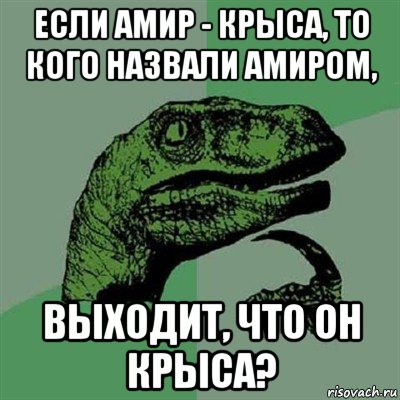 если амир - крыса, то кого назвали амиром, выходит, что он крыса?, Мем Филосораптор