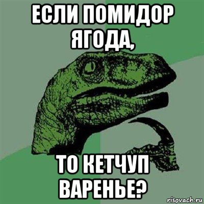 если помидор ягода, то кетчуп варенье?, Мем Филосораптор