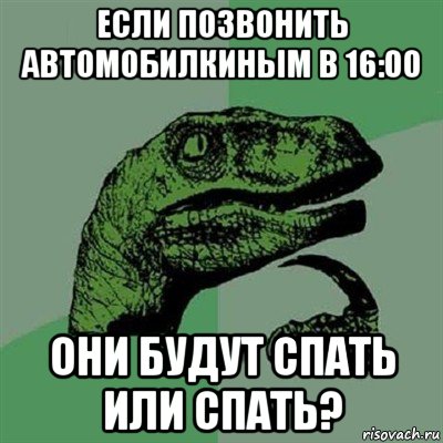 если позвонить автомобилкиным в 16:00 они будут спать или спать?, Мем Филосораптор