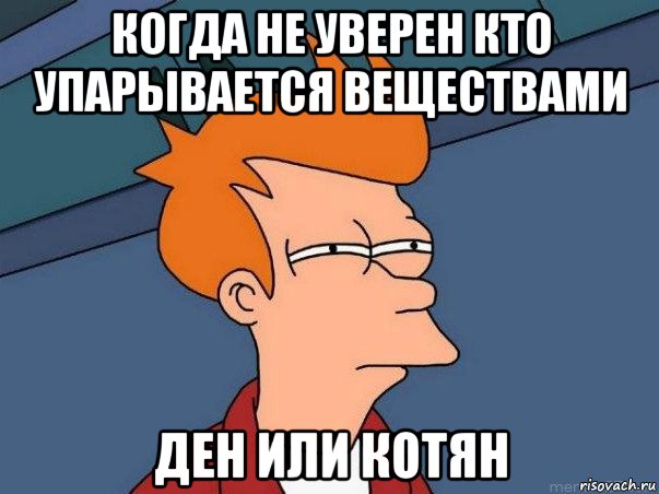 когда не уверен кто упарывается веществами ден или котян, Мем  Фрай (мне кажется или)