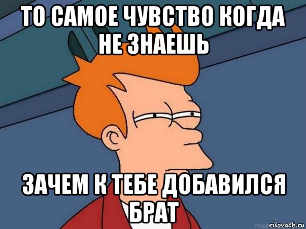 то самое чувство когда не знаешь зачем к тебе добавился брат, Мем  Фрай (мне кажется или)