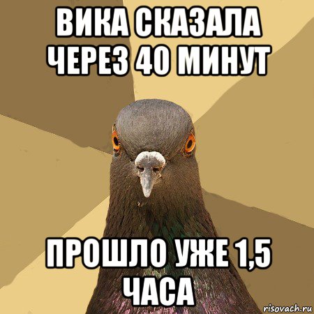 вика сказала через 40 минут прошло уже 1,5 часа, Мем голубь