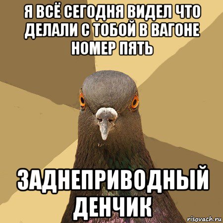 я всё сегодня видел что делали с тобой в вагоне номер пять заднеприводный денчик, Мем голубь