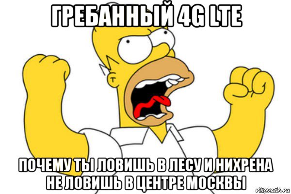 гребанный 4g lte почему ты ловишь в лесу и нихрена не ловишь в центре москвы, Мем Разъяренный Гомер