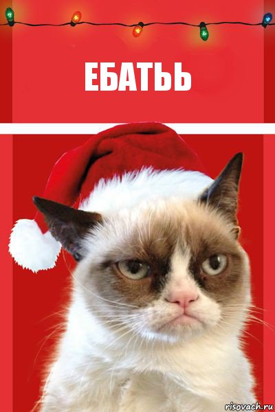 Ебатьь, Комикс  Grumpy cat new year