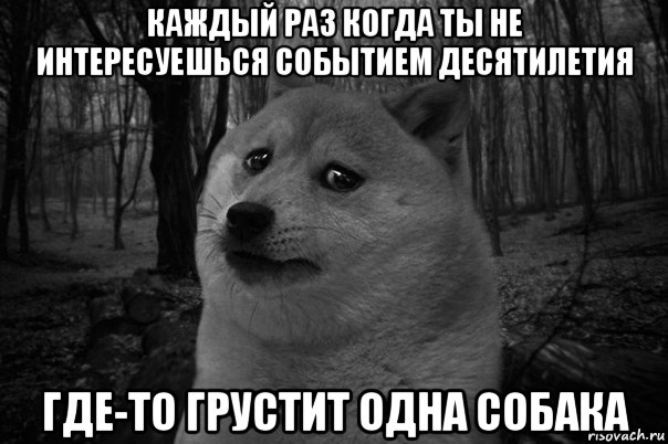 каждый раз когда ты не интересуешься событием десятилетия где-то грустит одна собака