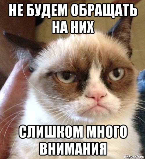 не будем обращать на них слишком много внимания, Мем Грустный (сварливый) кот