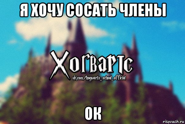 я хочу сосать члены ок, Мем Хогвартс