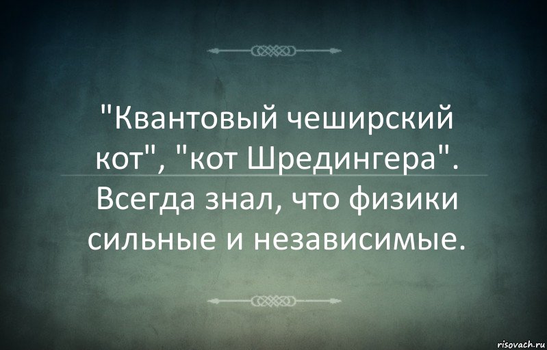 "Квантовый чеширский кот", "кот Шредингера".
Всегда знал, что физики сильные и независимые.