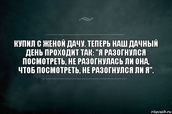 Купил с женой дачу. Теперь наш дачный день проходит так: "Я разогнулся посмотреть, не разогнулась ли она, чтоб посмотреть, не разогнулся ли я"., Комикс Игра Слов