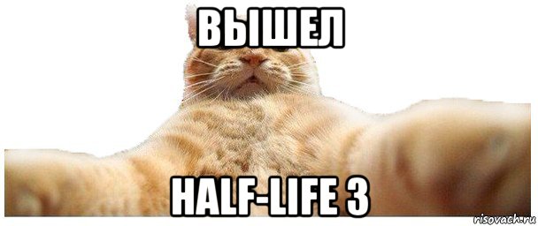 вышел half-life 3, Мем   Кэтсвилл