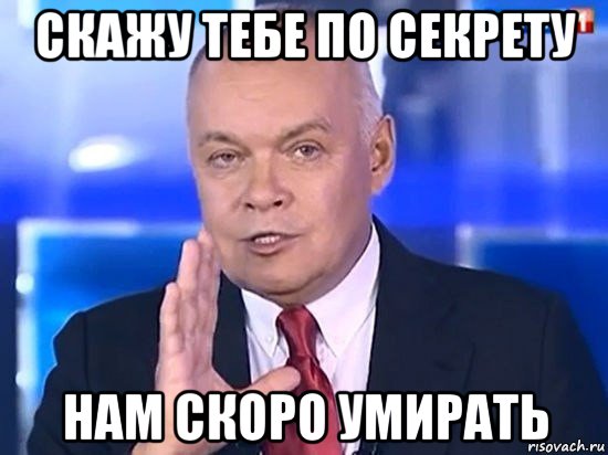 скажу тебе по секрету нам скоро умирать, Мем Киселёв 2014