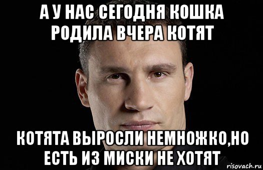 а у нас сегодня кошка родила вчера котят котята выросли немножко,но есть из миски не хотят