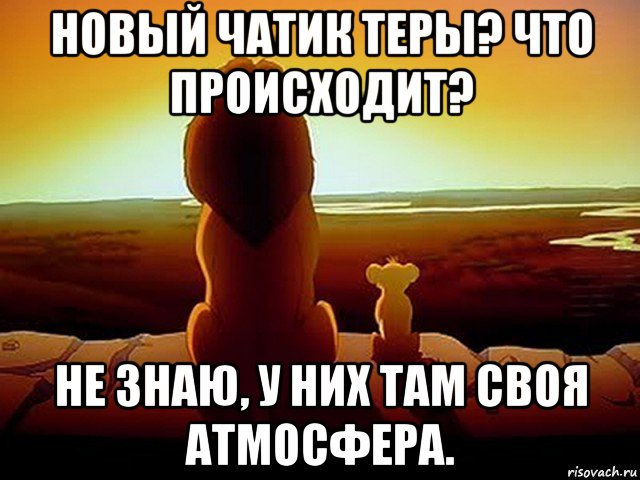 новый чатик теры? что происходит? не знаю, у них там своя атмосфера., Мем  король лев