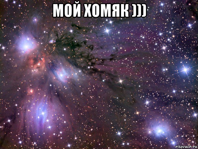 мой хомяк ))) , Мем Космос