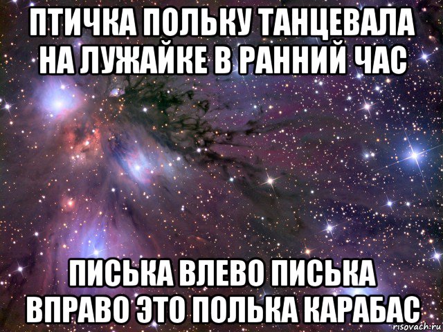 птичка польку танцевала на лужайке в ранний час писька влево писька вправо это полька карабас, Мем Космос