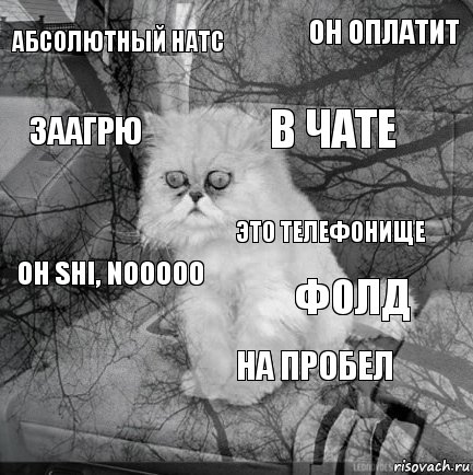 абсолютный натс фолд в чате  OH shi, nooooo он оплатит на пробел заагрю  это телефонище, Комикс  кот безысходность