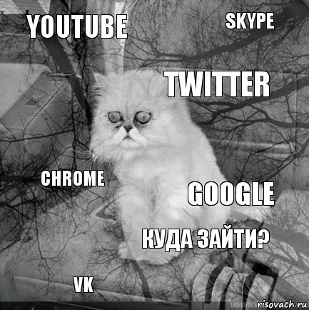 Youtube Google Twitter Vk Chrome Skype Куда зайти?   , Комикс  кот безысходность