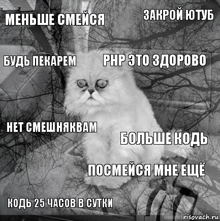 МЕНЬШЕ СМЕЙСЯ БОЛЬШЕ КОДЬ PHP это здорово кодь 25 часов в сутки нет смешняквам закрой ютуб посмейся мне ещё будь пекарем  , Комикс  кот безысходность