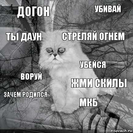 догон жми скилы стреляй огнем  воруй убивай мкб ты даун зачем родился убейся, Комикс  кот безысходность