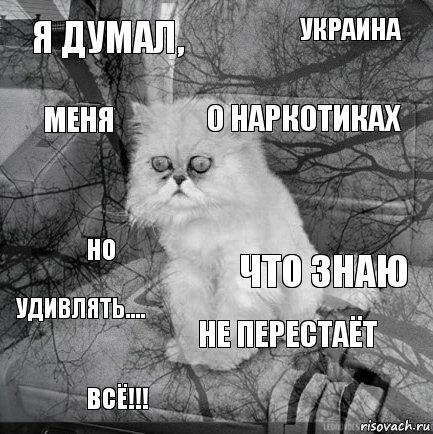 Я думал, Что знаю О наркотиках Всё!!! Но Украина Не перестаёт Меня Удивлять.... , Комикс  кот безысходность