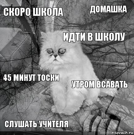 Скоро школа Утром всавать Идти в школу Слушать учителя 45 минут тоски Домашка    , Комикс  кот безысходность