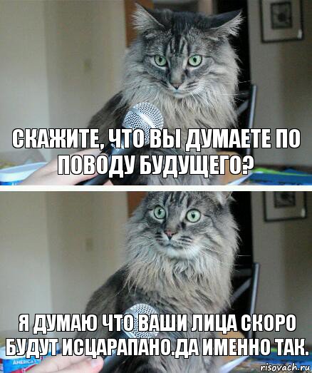 Скажите, что вы думаете по поводу будущего? Я думаю что ваши лица скоро будут исцарапано.Да именно так., Комикс  кот с микрофоном