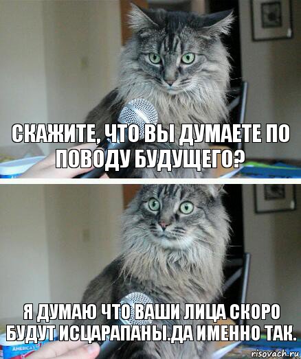 Скажите, что вы думаете по поводу будущего? Я думаю что ваши лица скоро будут исцарапаны.Да именно так., Комикс  кот с микрофоном