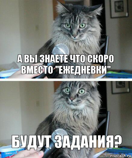 А вы знаете что скоро вместо "ежедневки" Будут задания?, Комикс  кот с микрофоном