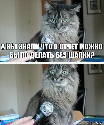 А вы знали что о отчет можно было делать без шапки? , Комикс  кот с микрофоном