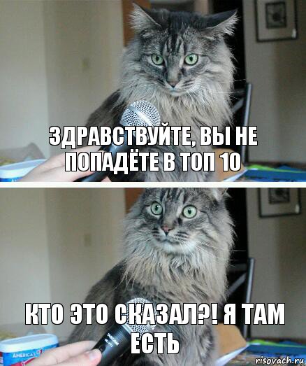 Здравствуйте, ВЫ НЕ ПОПАДЁТЕ В ТОП 10 КТО ЭТО СКАЗАЛ?! Я ТАМ ЕСТЬ, Комикс  кот с микрофоном