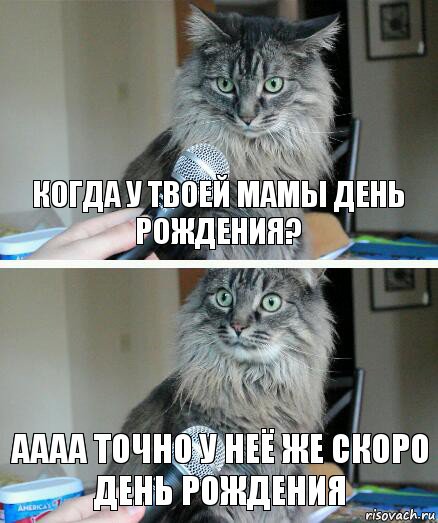 Когда у твоей мамы день рождения? АААА ТОЧНО У НЕЁ ЖЕ СКОРО ДЕНЬ РОЖДЕНИЯ, Комикс  кот с микрофоном