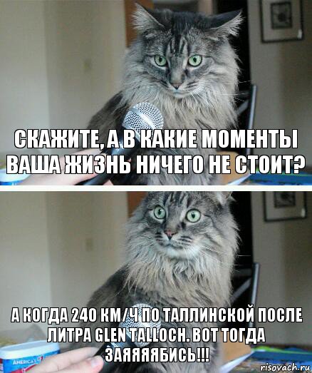 Скажите, а в какие моменты ваша жизнь ничего не стоит? А когда 240 км/ч по Таллинской после литра Glen Talloch. Вот тогда ЗАЯЯЯЯБИСЬ!!!, Комикс  кот с микрофоном