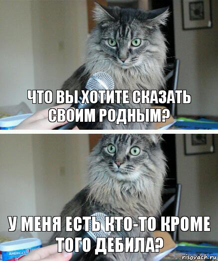 Что вы хотите сказать своим родным? У меня есть кто-то кроме того дебила?, Комикс  кот с микрофоном