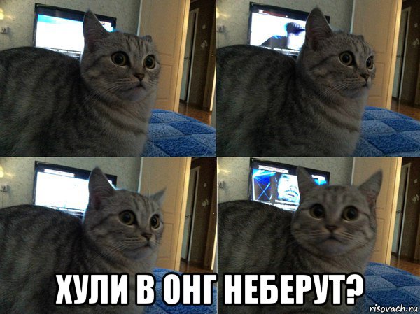  хули в онг неберут?, Мем  Кот в шоке