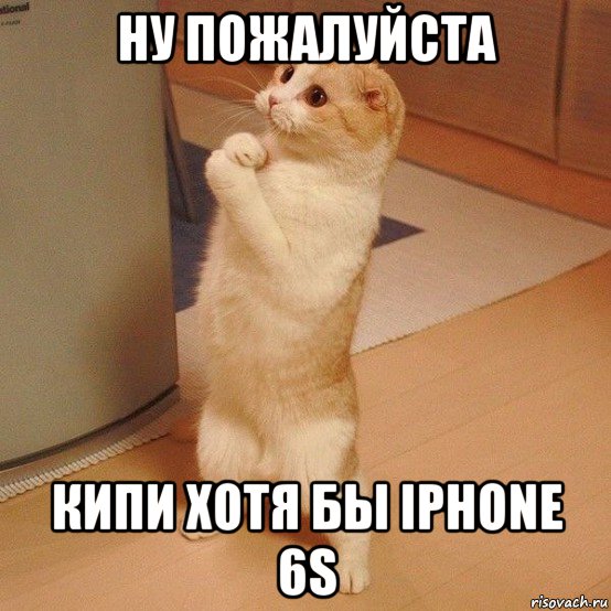 ну пожалуйста кипи хотя бы iphone 6s, Мем  котэ молится