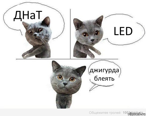 ДНаТ LED джигурда блеять, Комикс  Котики