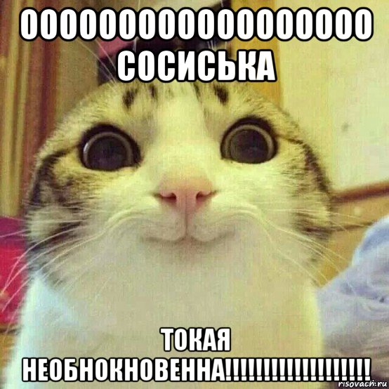 oooooooooooooooooo сосиська токая необнокновенна!!!!!!!!!!!!!!!!!!!, Мем       Котяка-улыбака